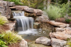 A waterfall makes an attractive addition to a water garden.